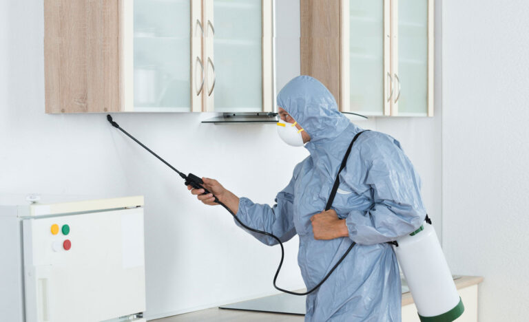 Why Critter Control Services Are Essential for Property Protection